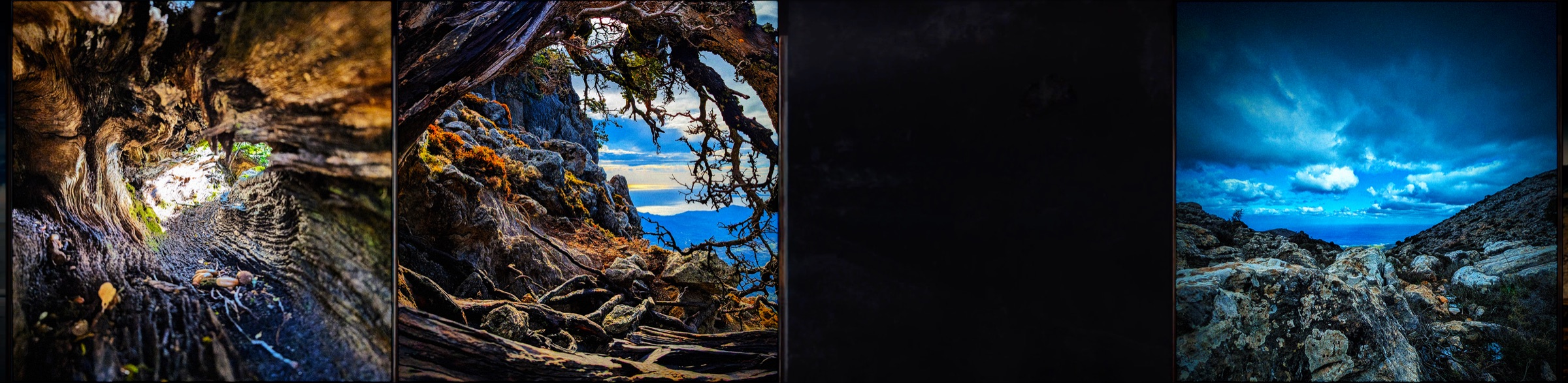 Silhouetted trees and a dramatic view over the mountains to the Cretan Sea